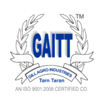  Toronto marketing experts